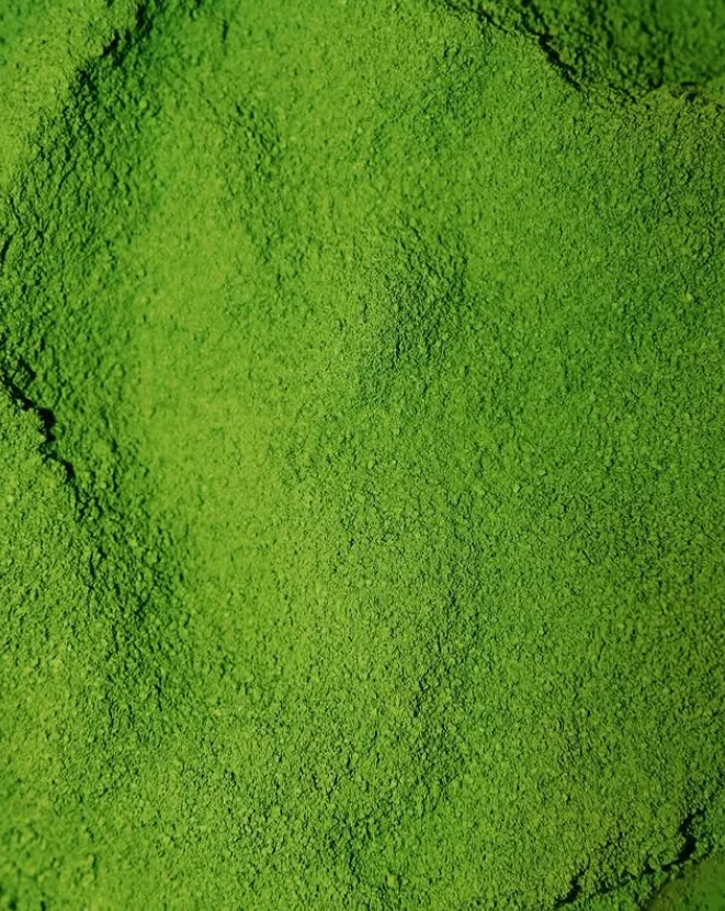 Close-up of matcha powder